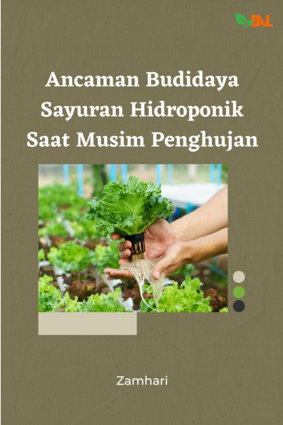 Ancaman Budidaya Sayuran Hidroponik Saat Musim Penghujan 